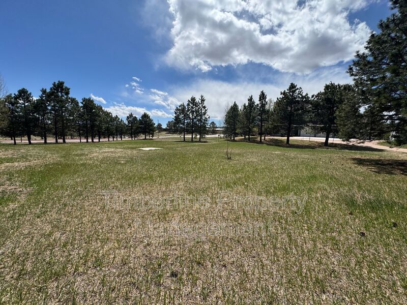 4bdrm Home in Black Forest with land and walking distance to school property image