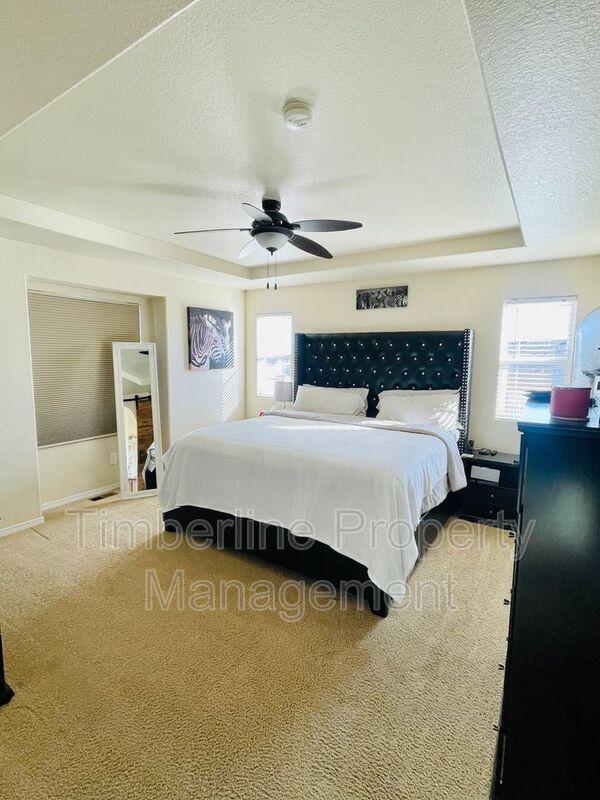 4 Bedroom home backs to a playground and is near Air Force Academy property image