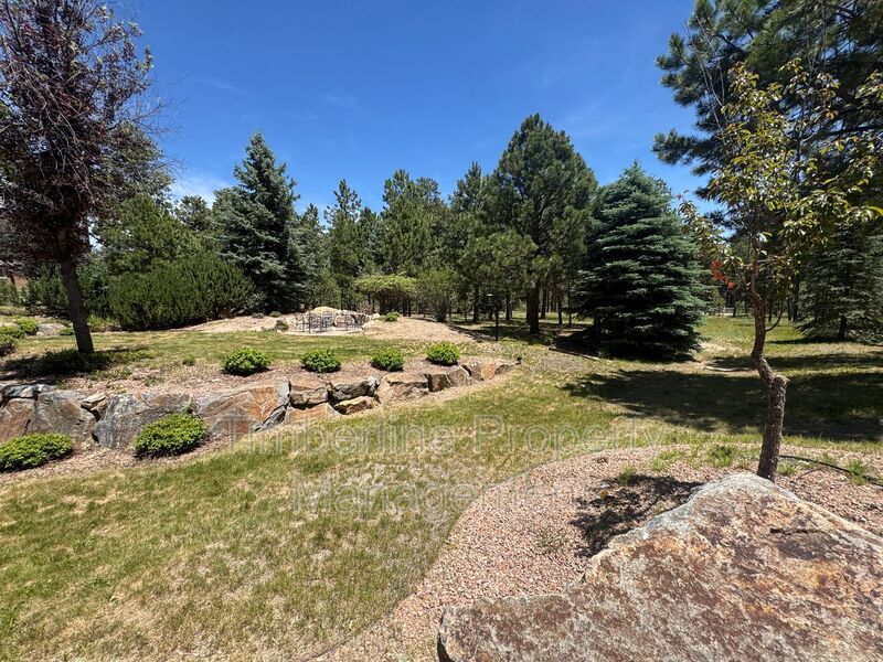 Gorgeous 3 bedroom in Monument on Large Lot! property image